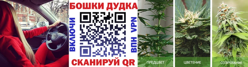 хочу наркоту  Жирновск  Конопля OG Kush 